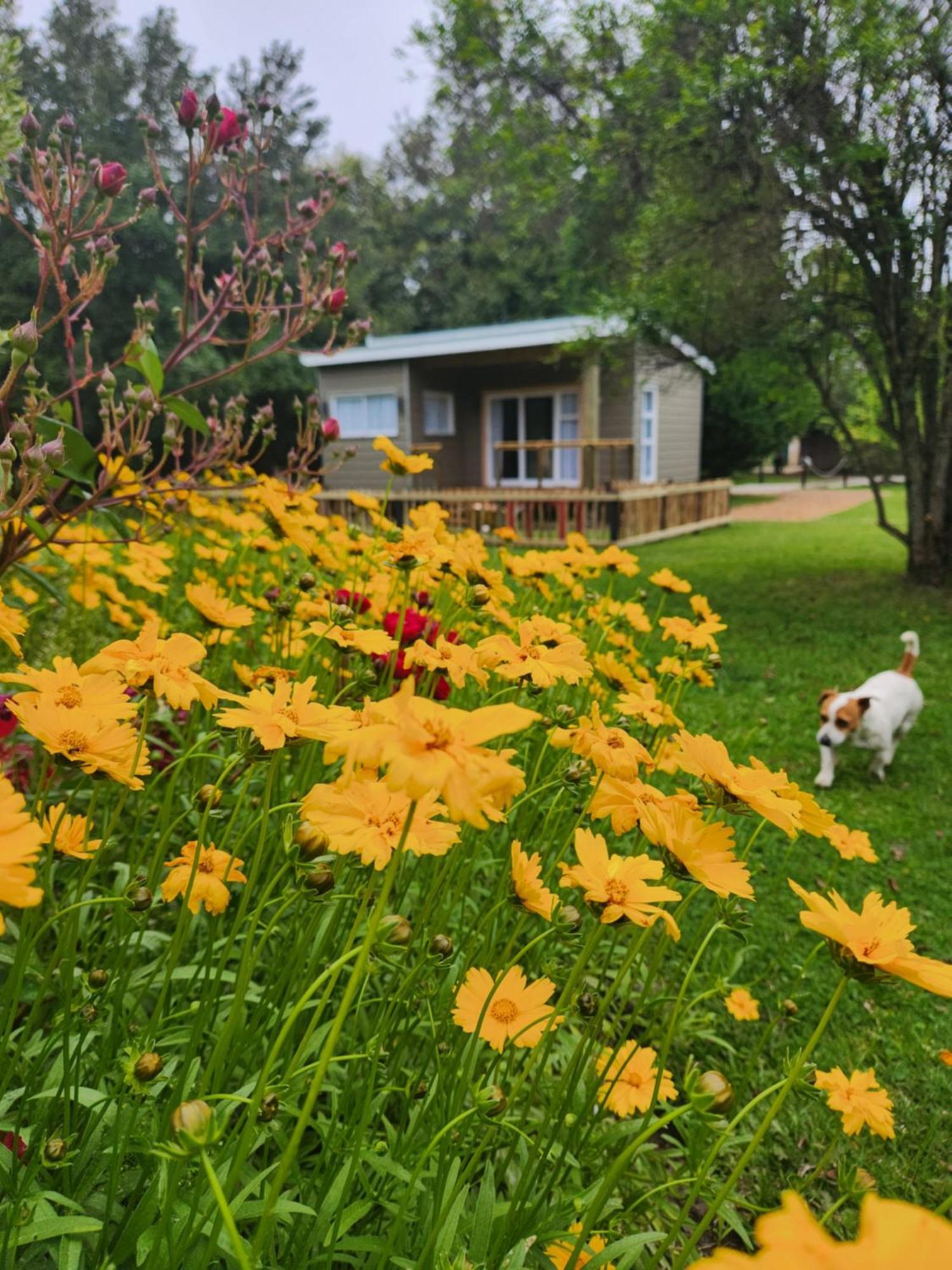 Tsitsikamma Garden Chalets Stormsrivier Exterior photo